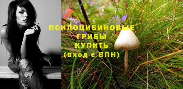 прущая мука Верхний Тагил